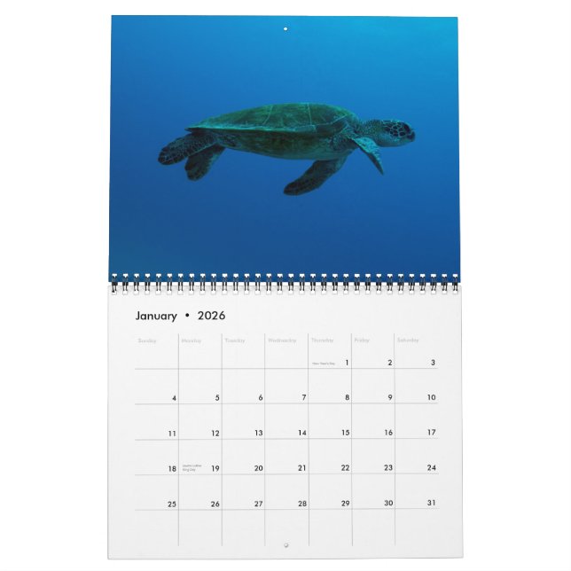 2015 Turtles of the Coral Sea Calendar (Jan 2026)