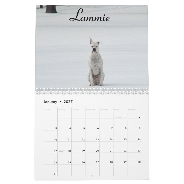 2015 White Boxer Calendar (Jan 2027)