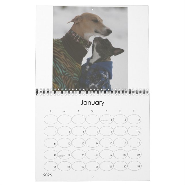 2016 Azawakh Calendar (Jan 2026)