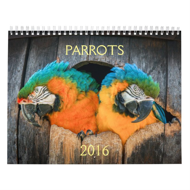 2016 Calendar of Parrots, macaw, amazon, (Cover)