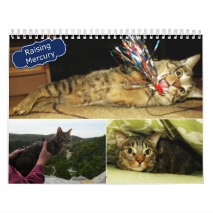 2016 calendriers augmentants de Mercury