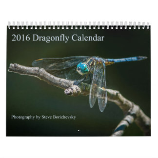 2016 Dragonfly Calendar by Steve Borichevsky