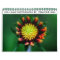 2016 Flower Calendar
