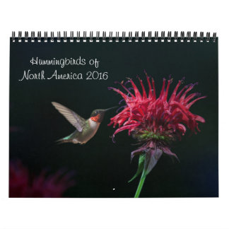 2016 Hummingbird Calendar