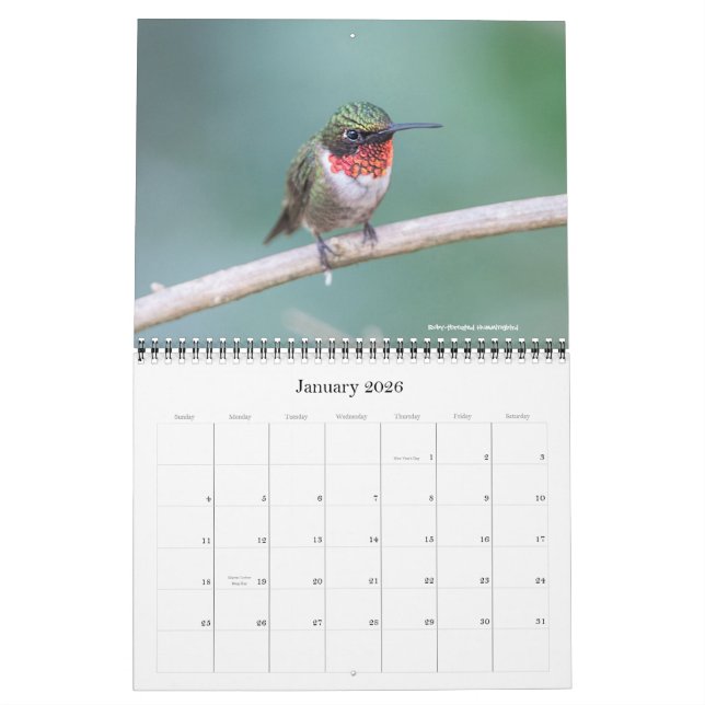 2016 Hummingbird Calendar (Jan 2026)