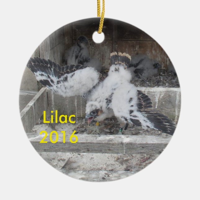 2016 Lilac Ornament (Front)