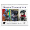 2016 Mini Schnauzer Calendar