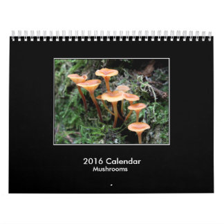 2016 Mushroom Calendar