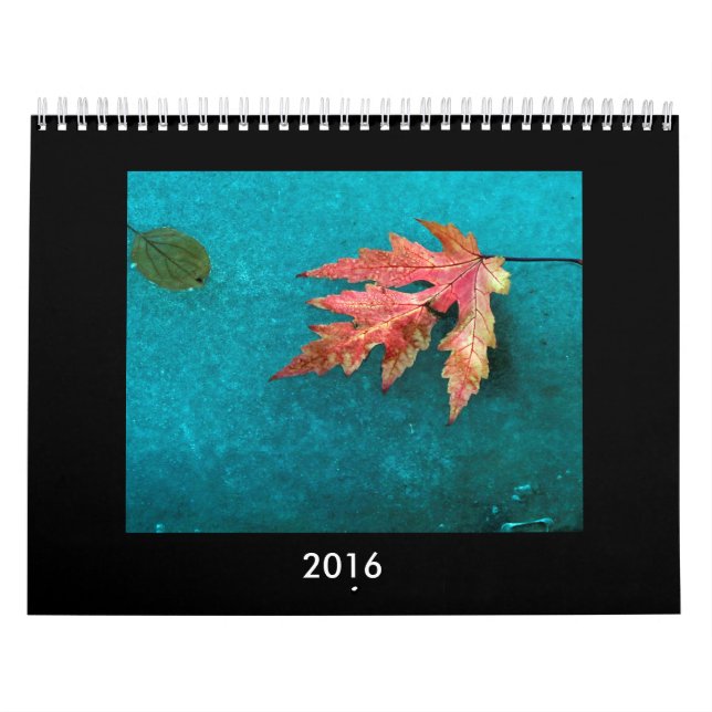 2016 Photo Calendar (Cover)