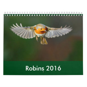 2016 Robin Calendar