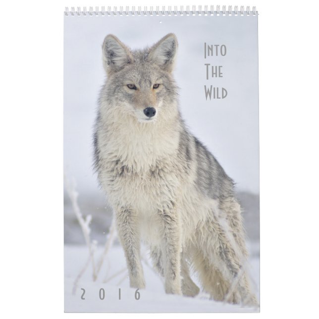2016 Wildlife Wall Calendar by Steven Holt (Cover)