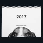 2017 Basset Hound Calendar<br><div class="desc">Humourous 2017 Calendar featuring "Holmes" the Bassett Hound. The perfect gift for all pet lovers! Follow Holmes as he celebrates the dog days of summer all year long!</div>