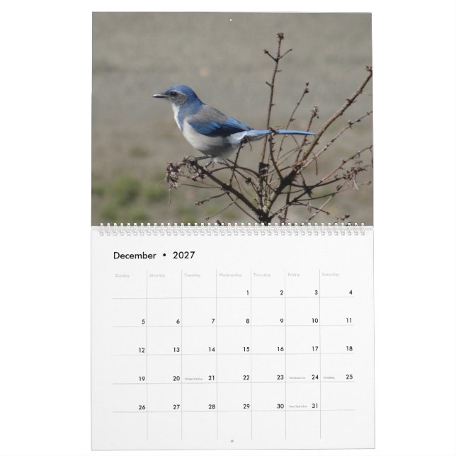 2017  Birds of North America Calendar (Dec 2027)