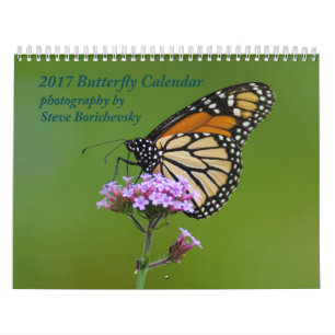 2017 Butterfly Calendar
