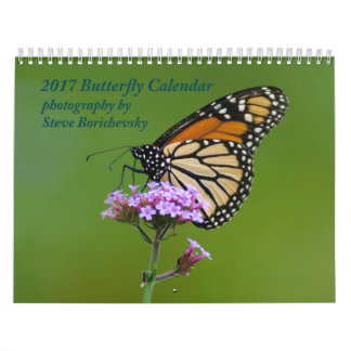 2017 Butterfly Calendar