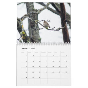 2017 Calendar by Barbara Levy