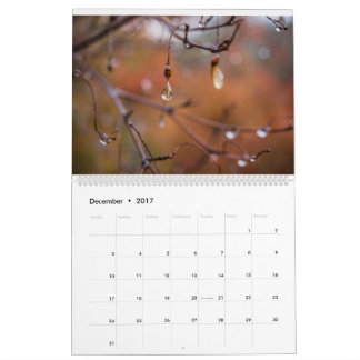 2017 Calendar, Photos by Eric Johnson Calendar