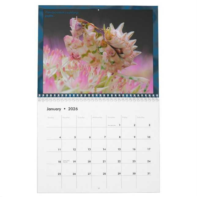 2017 calendrier moyen/grand de MANTIDFORUM (Jan 2026)