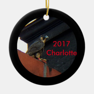 2017 Ceramic Ornament Charlotte