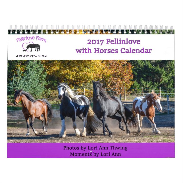2017 Fellinlove with Horses Calendar (Cover)