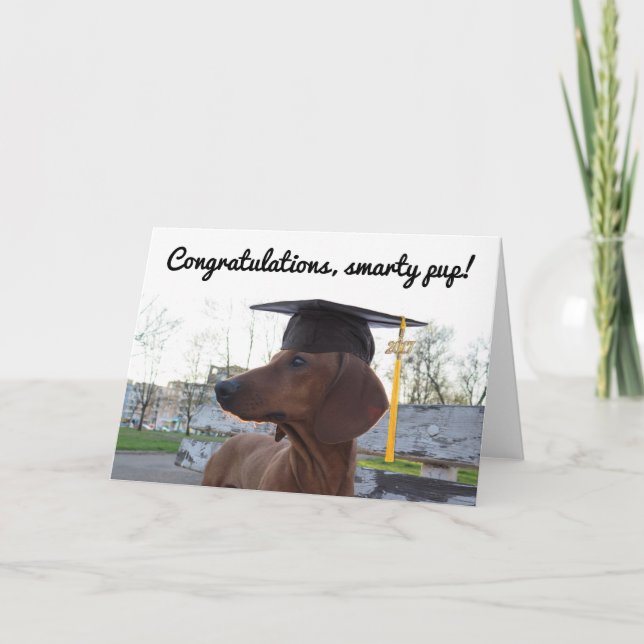 2017 Graduation Cap & Charm Dog Dachshund Smarty Card (Front)