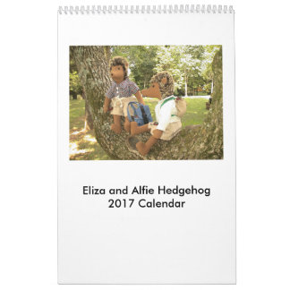 2017 Hedgehog Doll Calendar