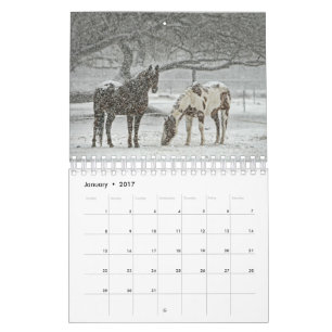 2017 Horse Calendar
