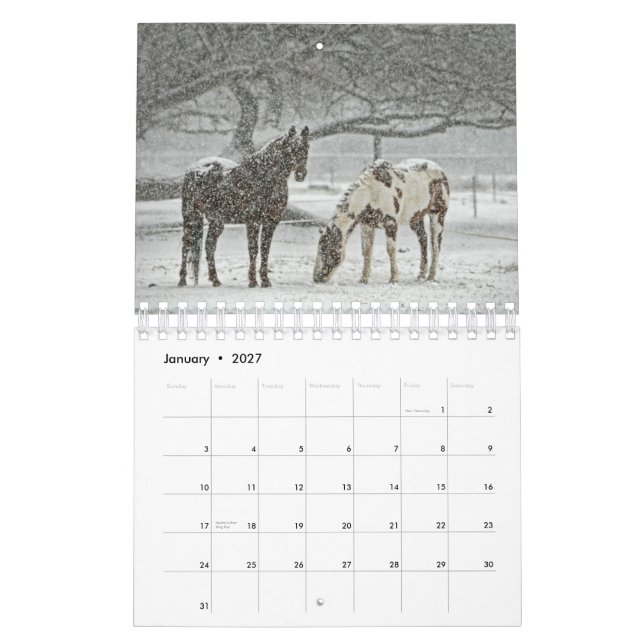 2017 Horse Calendar (Jan 2027)
