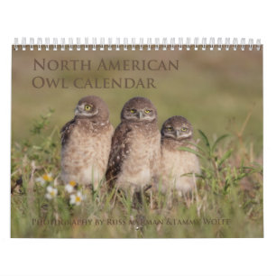 2017 North American Owl Wall Calendar