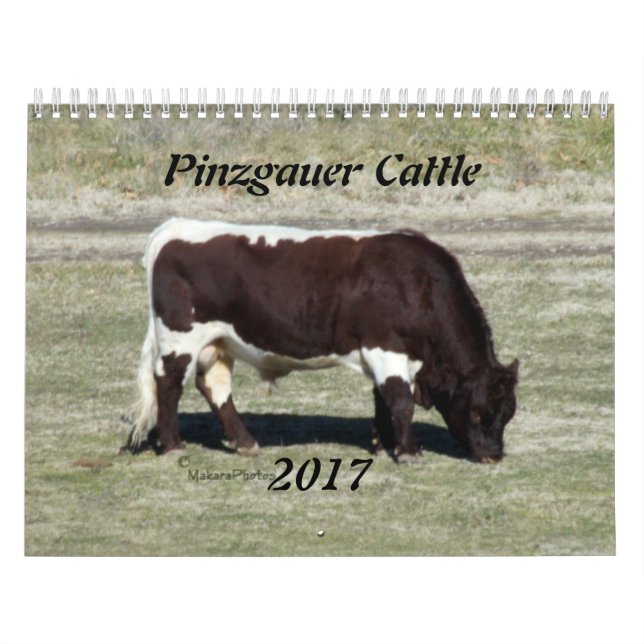 2017 Pinzgauer Calendar-change year as needed Calendar (Cover)