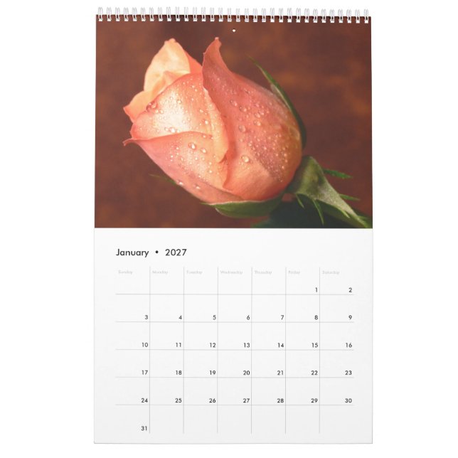 2017 Rose Single Calender Calendar (Jan 2027)