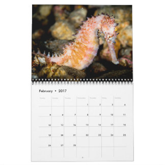 2017 Underseas Calendar