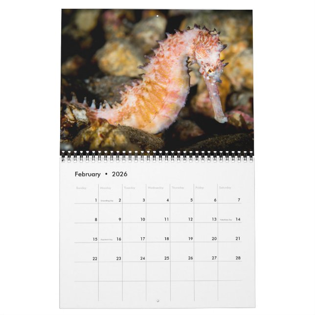2017 Underseas Calendar (Feb 2026)