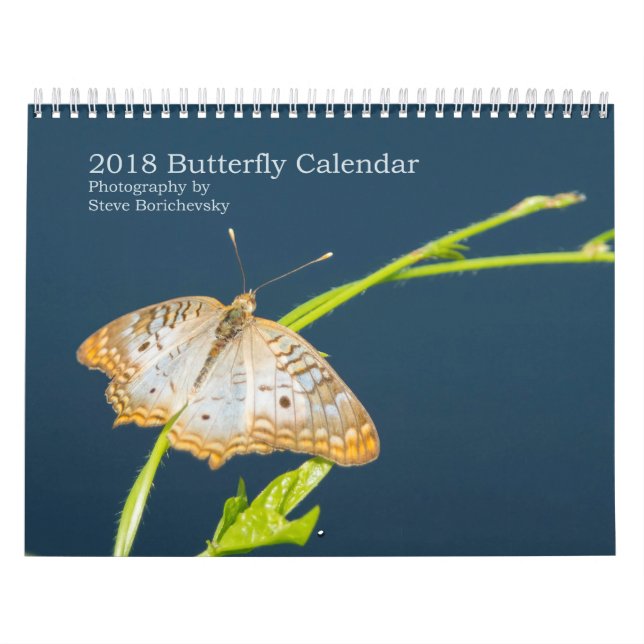 2018 Butterfly Calendar (Cover)