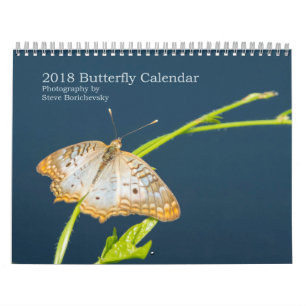 2018 Butterfly Calendar