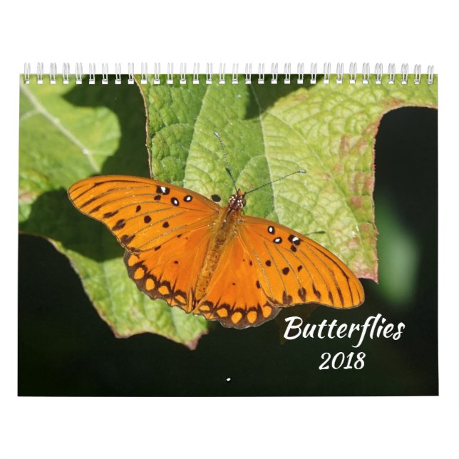2018 Butterfly Calendar (Cover)