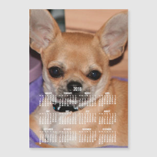 2018 Calendar Chihuahua Magnetic Photo Card 5x7