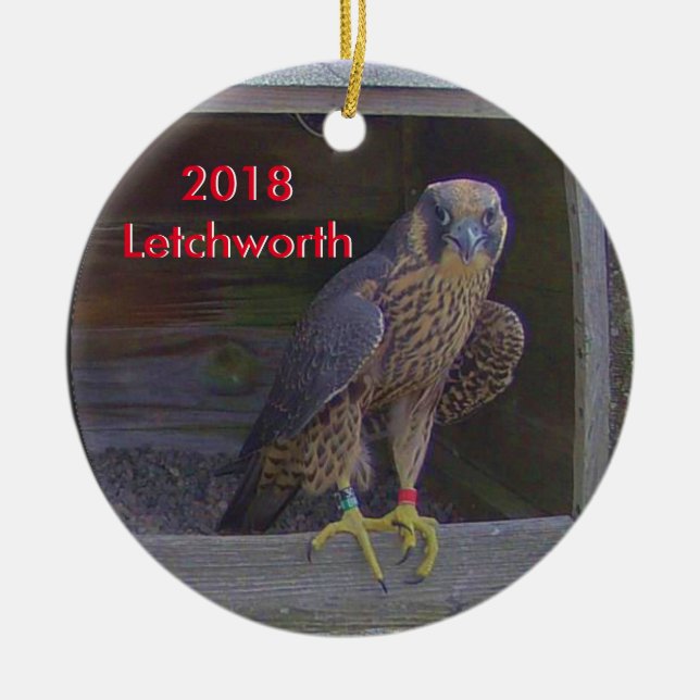2018 Ceramic Ornament Letchworth (Front)