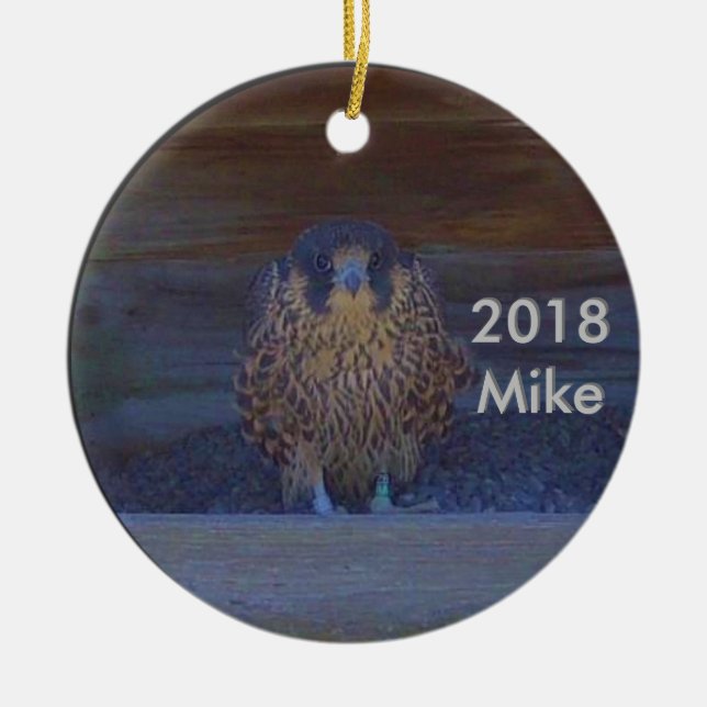 2018 Ceramic Ornament Mike (Front)