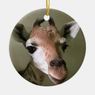 2018 Holiday Ornament; Penny the Giraffe Ceramic Ornament