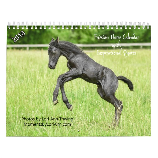 2018 Inspirational Friesian Horse Calendar (Cover)
