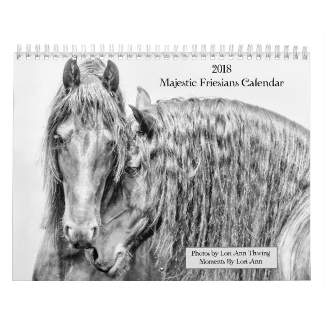 2018 Majestic Friesians Calendar (Cover)