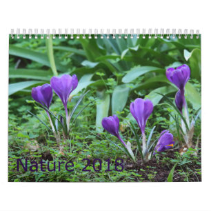 2018 Nature Calendar