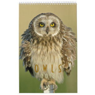 2018  Owl Lovers Wall Calendar