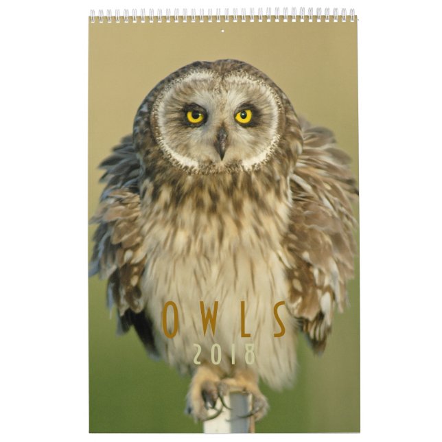 2018  Owl Lovers Wall Calendar (Cover)