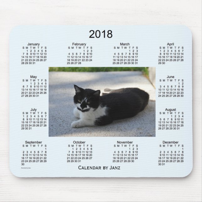2018 Sassy Cat Calendar by Janz Mouse Pad (Front)