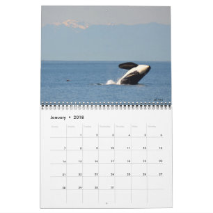 2018 Southern Resident Killer Whale Calendar