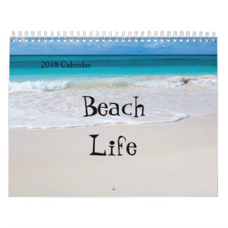 2018 Twelve Month Calendar -Various Beach Scenes