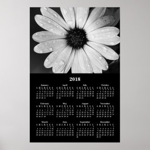 2018 Wall Calendar Poster de la marguerite africai