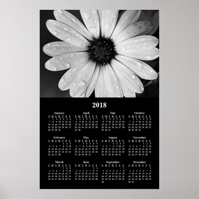 2018 Wall Calendar Poster de la marguerite africai (Devant)